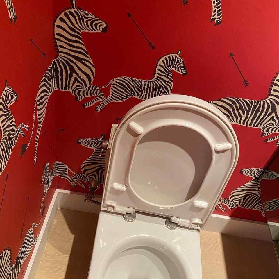 Toilet remodel fort worth